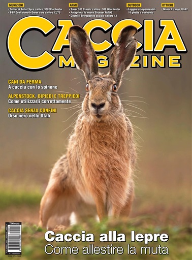 Caccia Magazine issue 
