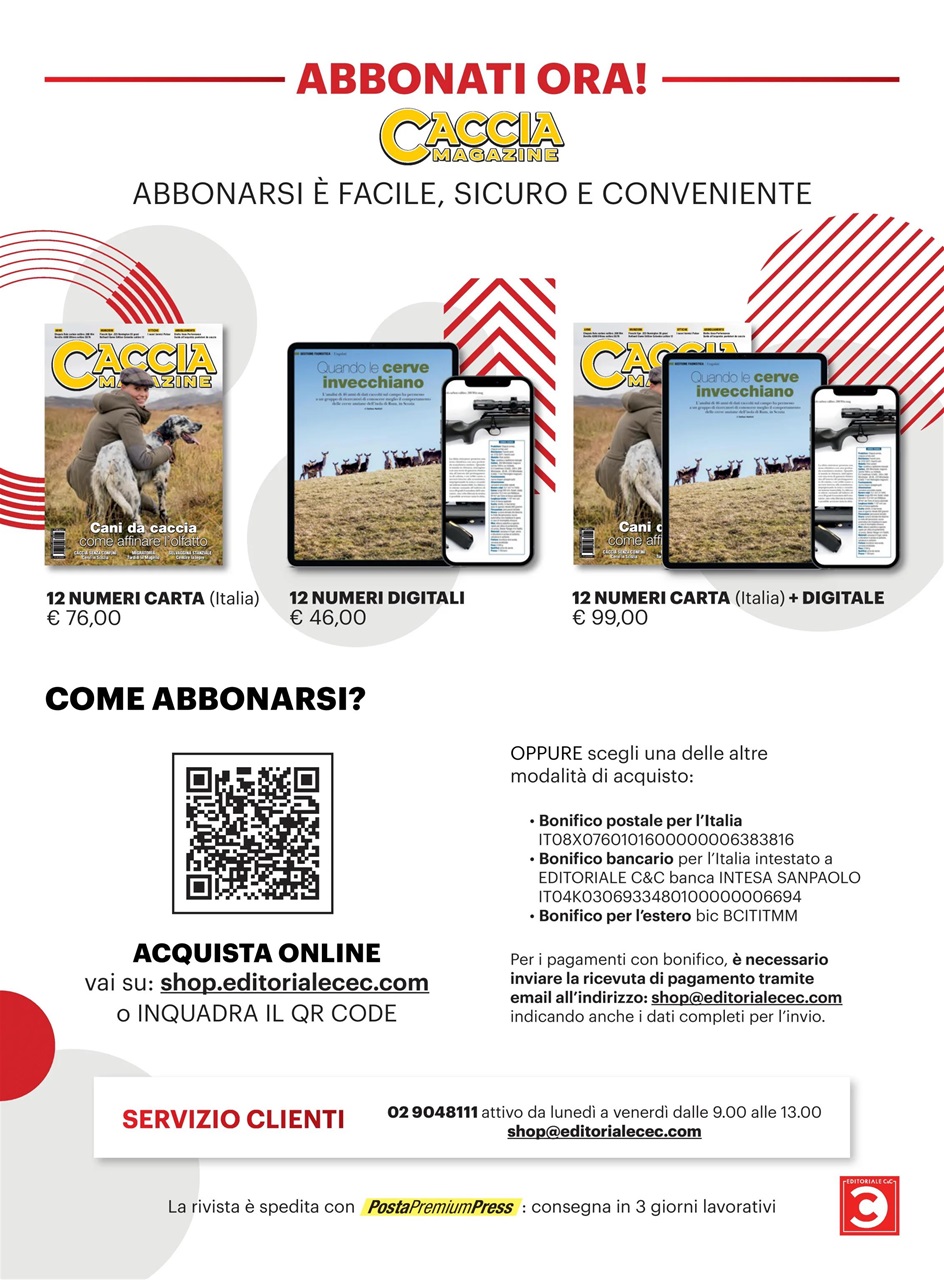 Caccia Magazine Preview Pages