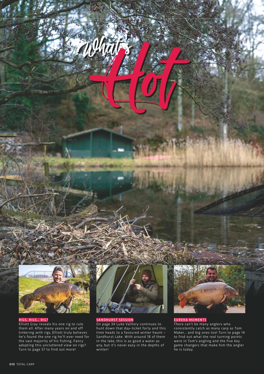 Total Carp Preview Pages