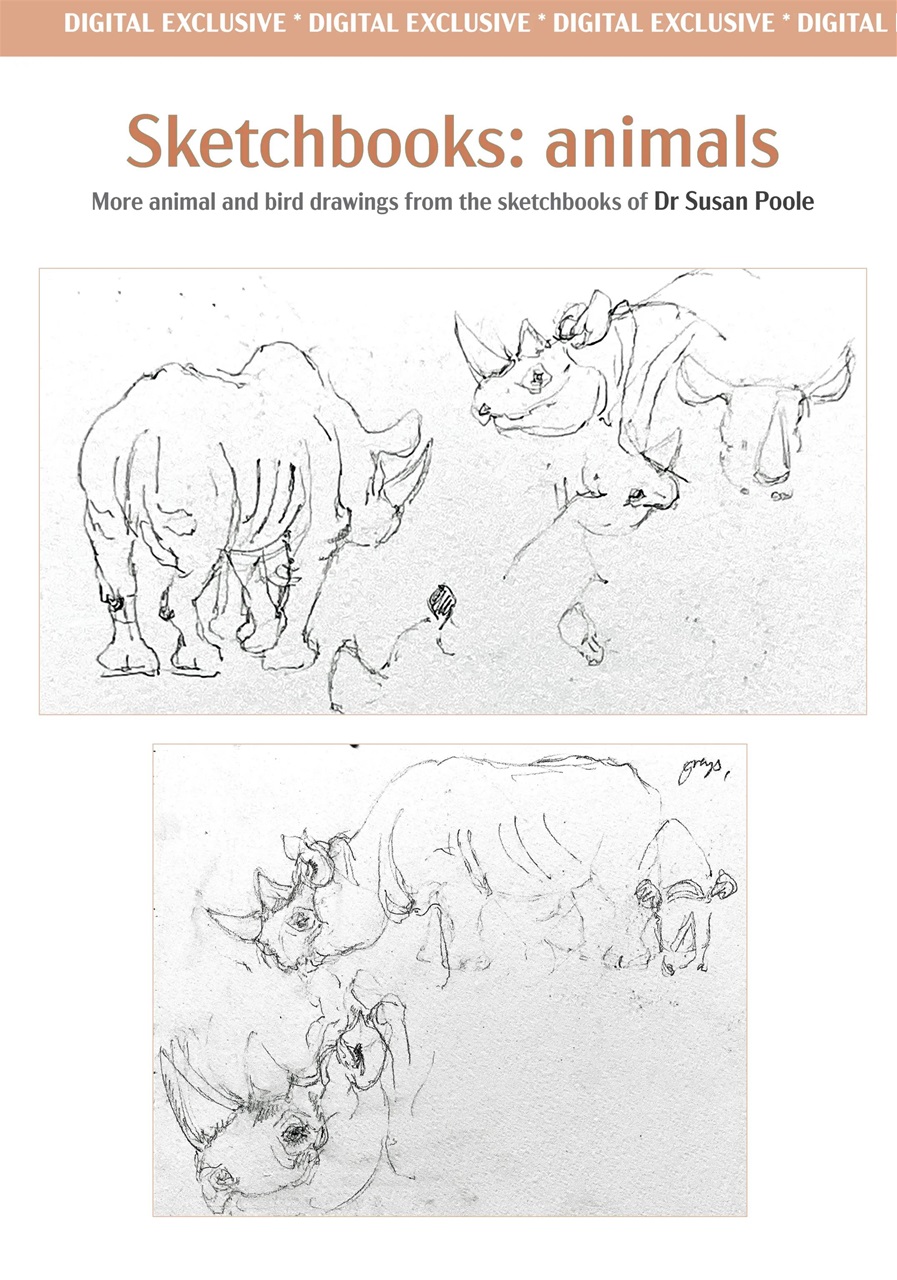 Leisure Painter & The Artist Preview Pages