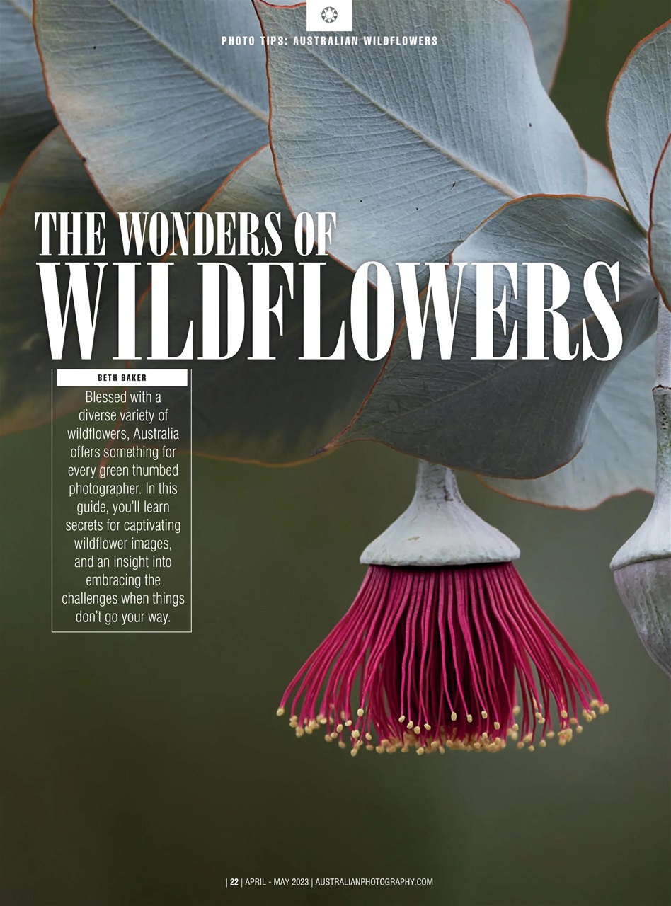 Australian Photography Preview Pages