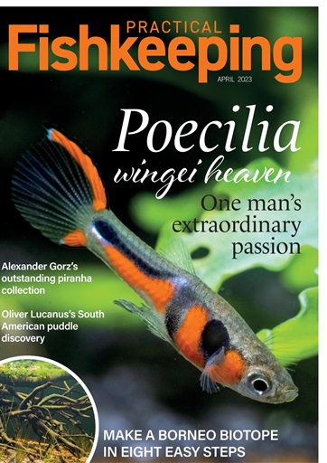 Practical Fishkeeping issue 