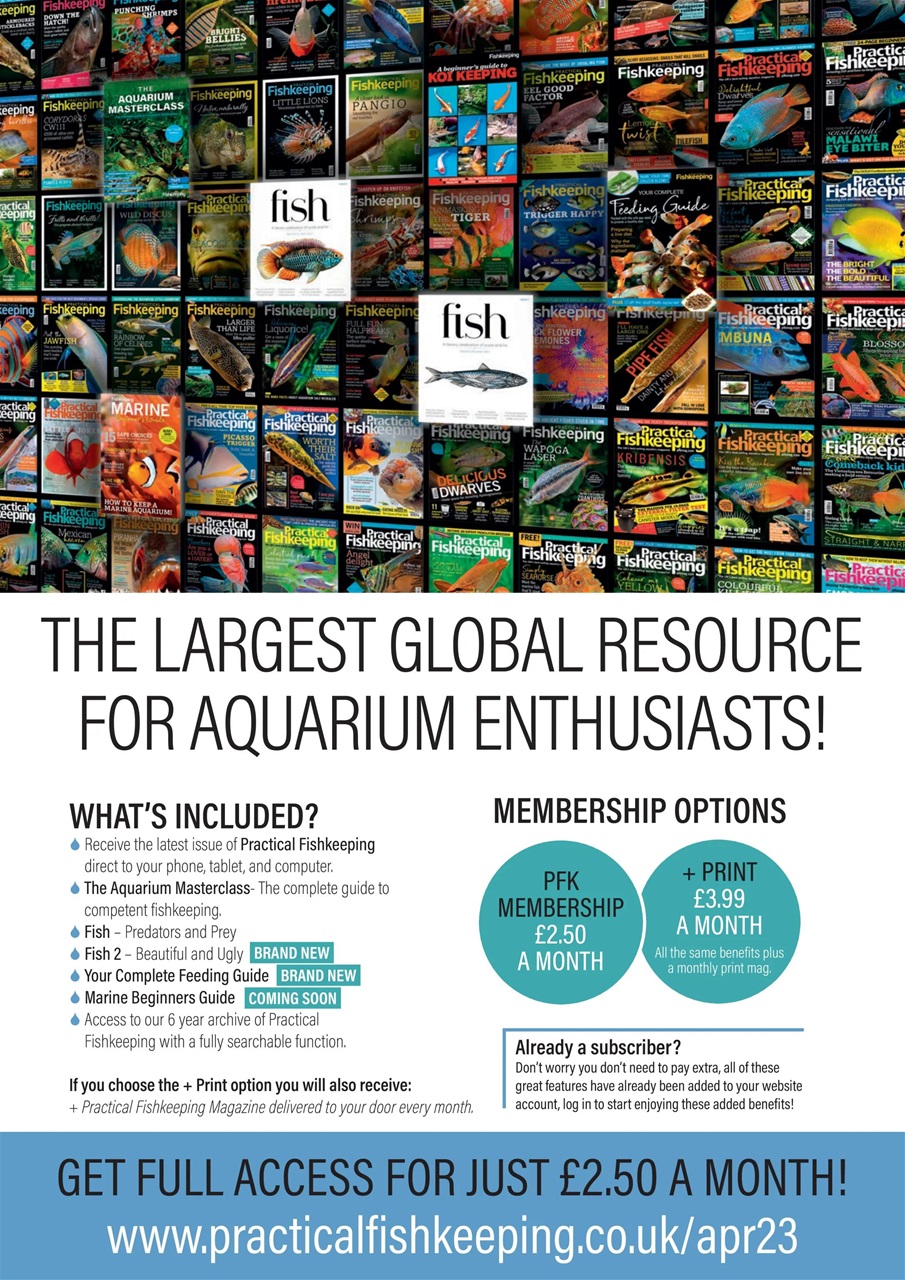 Practical Fishkeeping Preview Pages