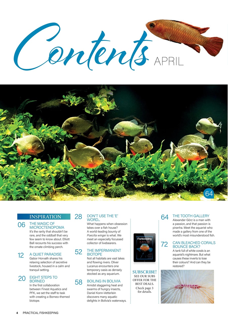 Practical Fishkeeping Preview Pages