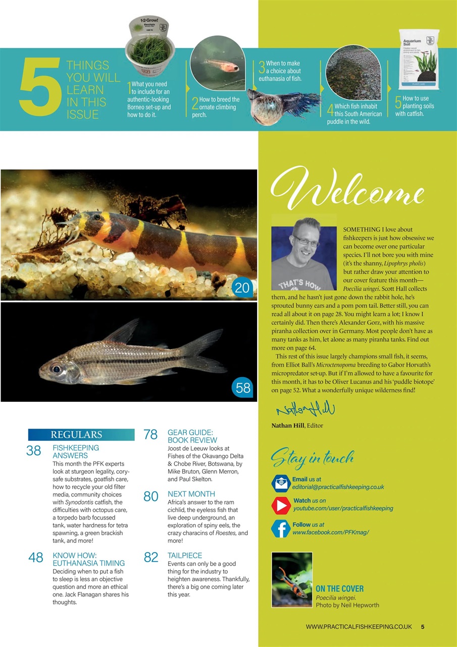 Practical Fishkeeping Preview Pages