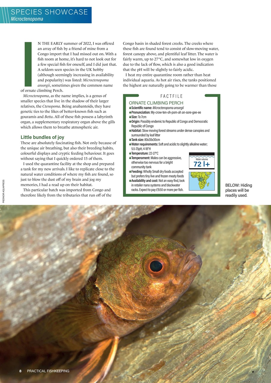 Practical Fishkeeping Preview Pages