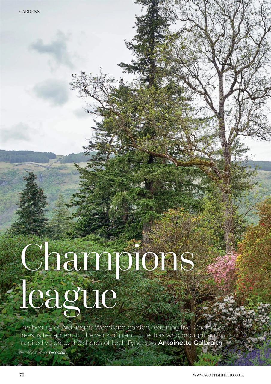 Scottish Field Preview Pages