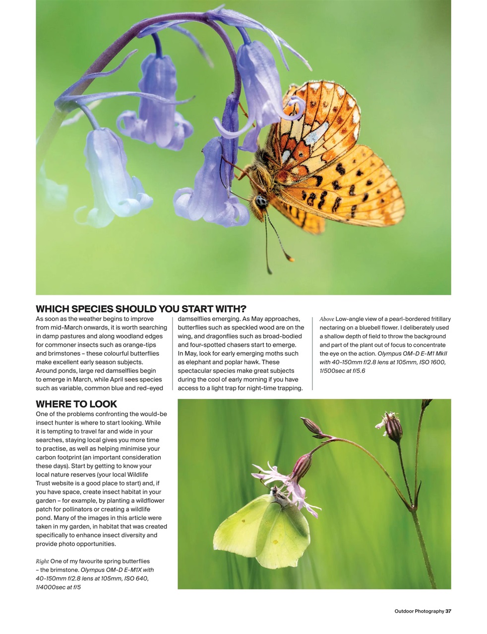 Outdoor Photography Preview Pages