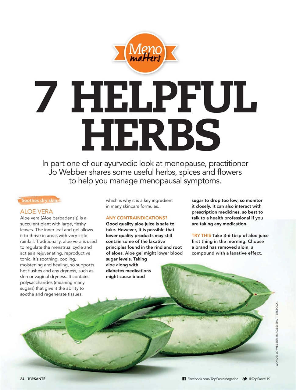 Top Sante Preview Pages