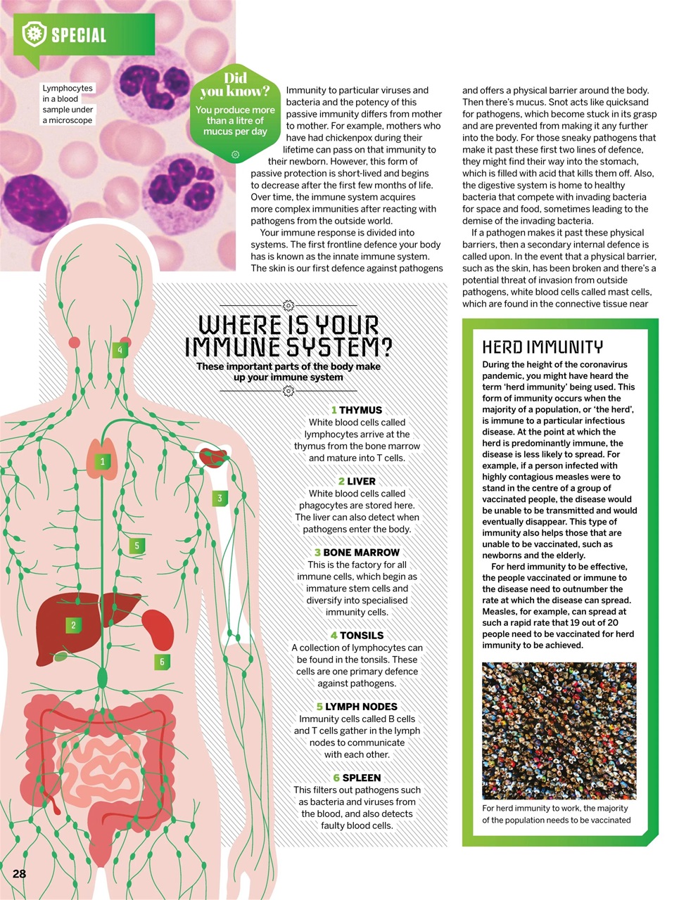 How It Works Preview Pages