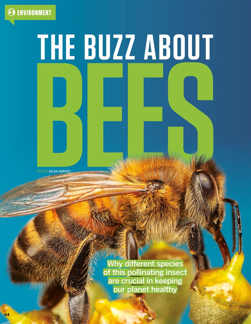 How It Works Preview Pages