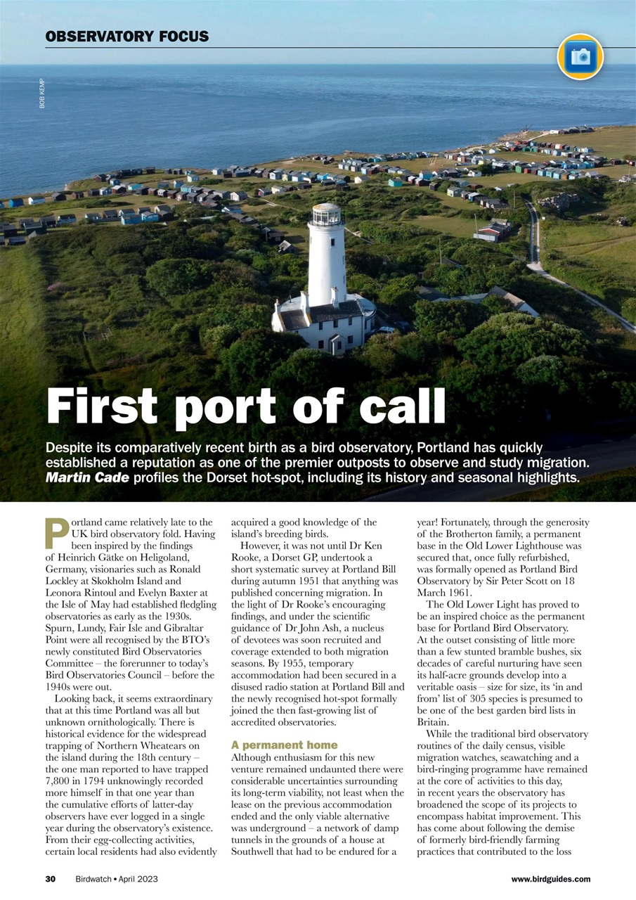 Birdwatch Magazine Preview Pages