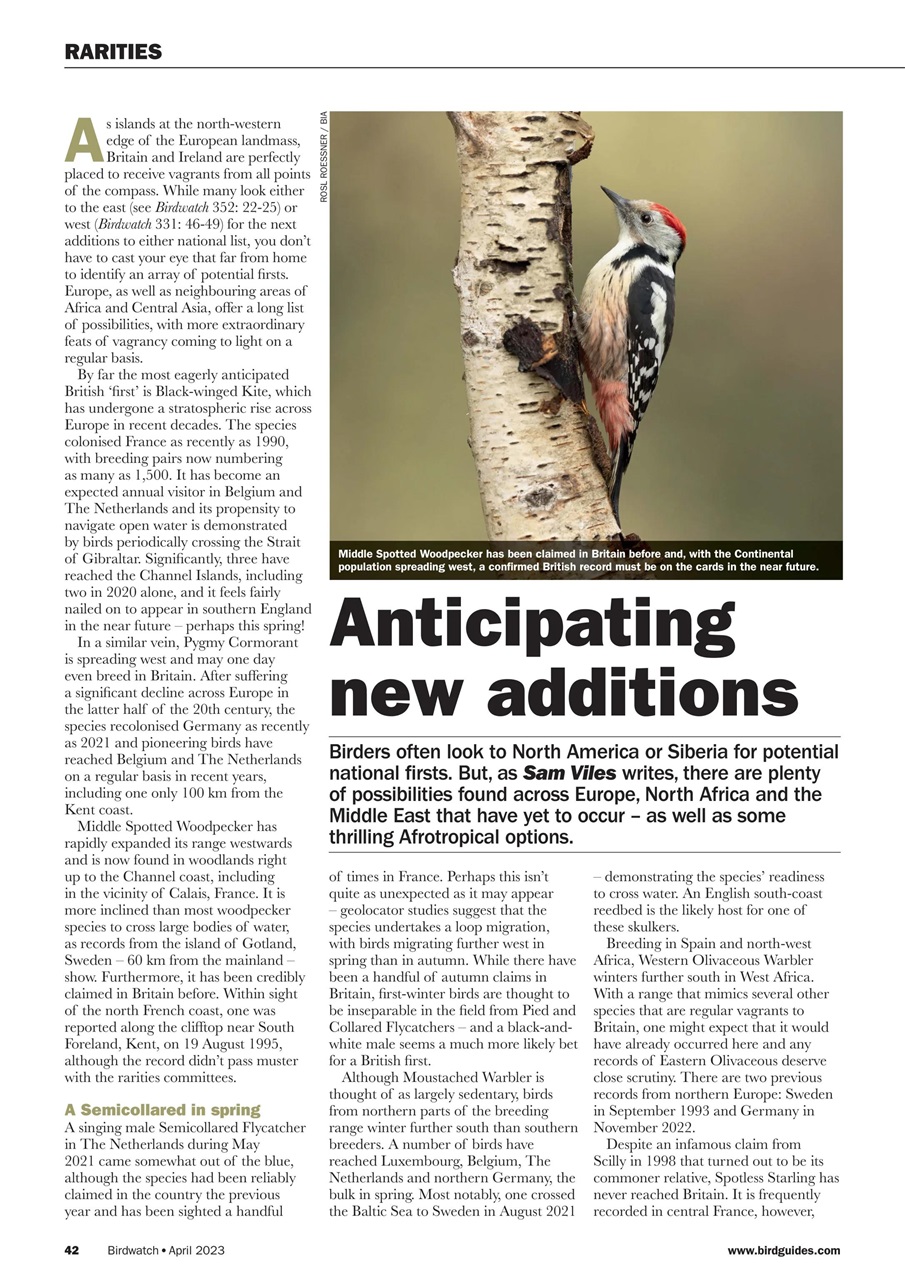 Birdwatch Magazine Preview Pages
