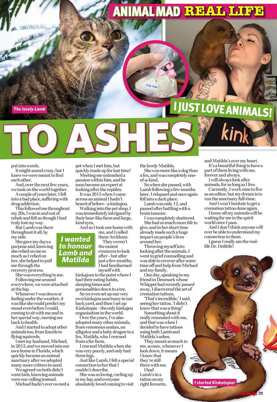 Pick Me Up Preview Pages