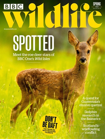 BBC Wildlife Magazine issue Spring 2023