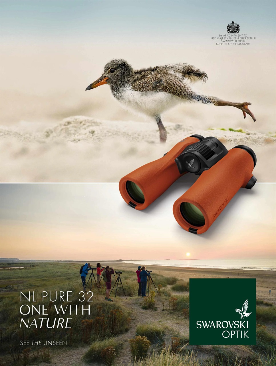 BBC Wildlife Magazine Preview Pages