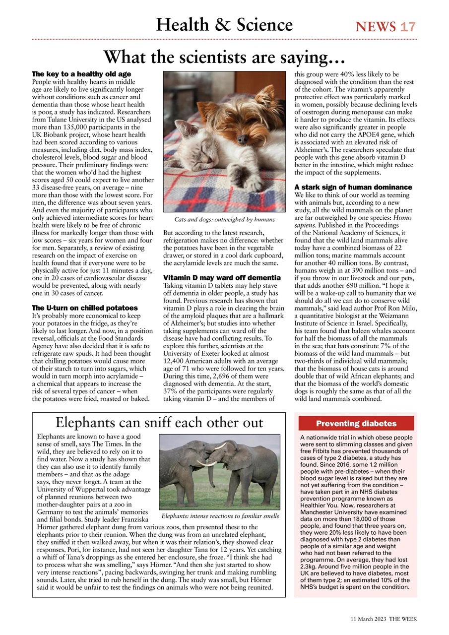 The Week Preview Pages