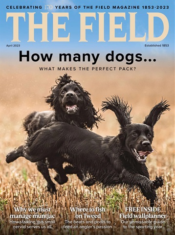 The Field issue April 2023
