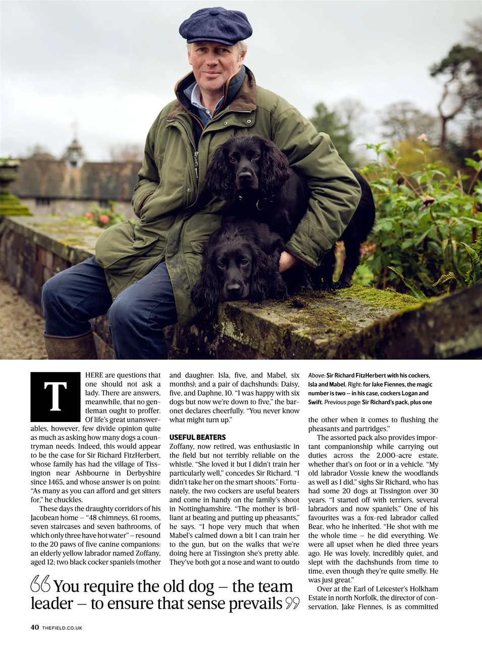 The Field Preview Pages