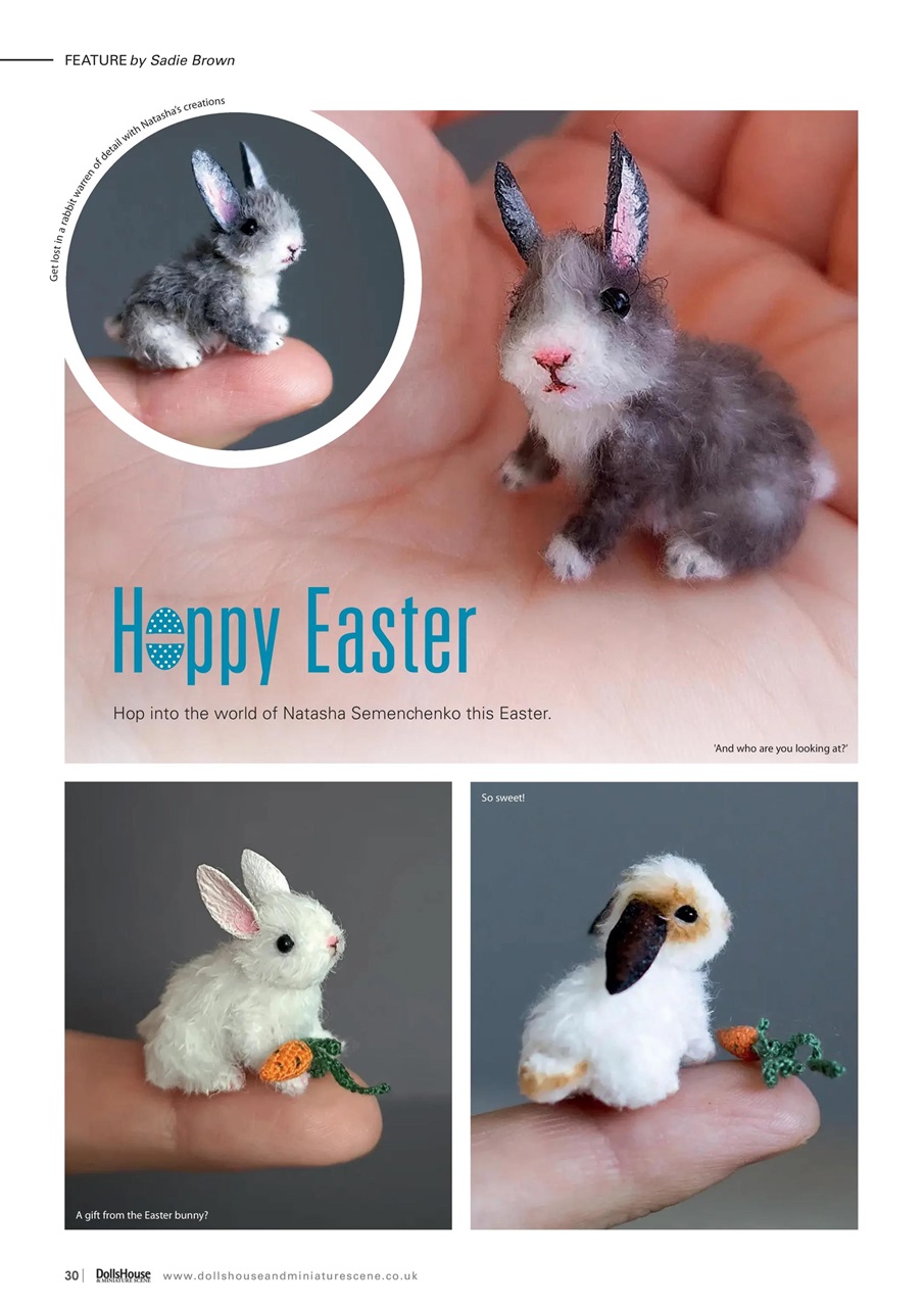 Dolls House and Miniature Scene Preview Pages