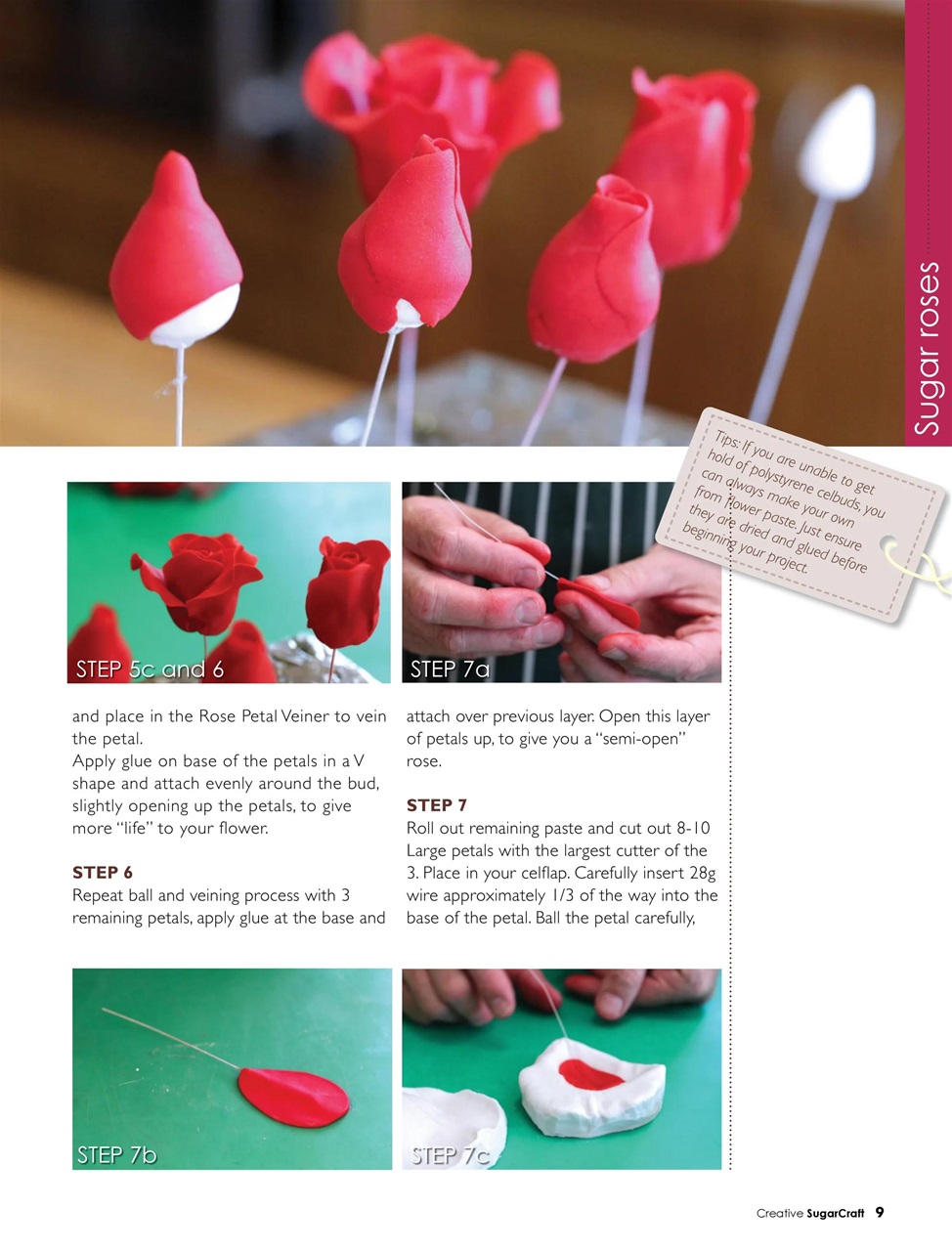Creative Sugar Craft Preview Pages