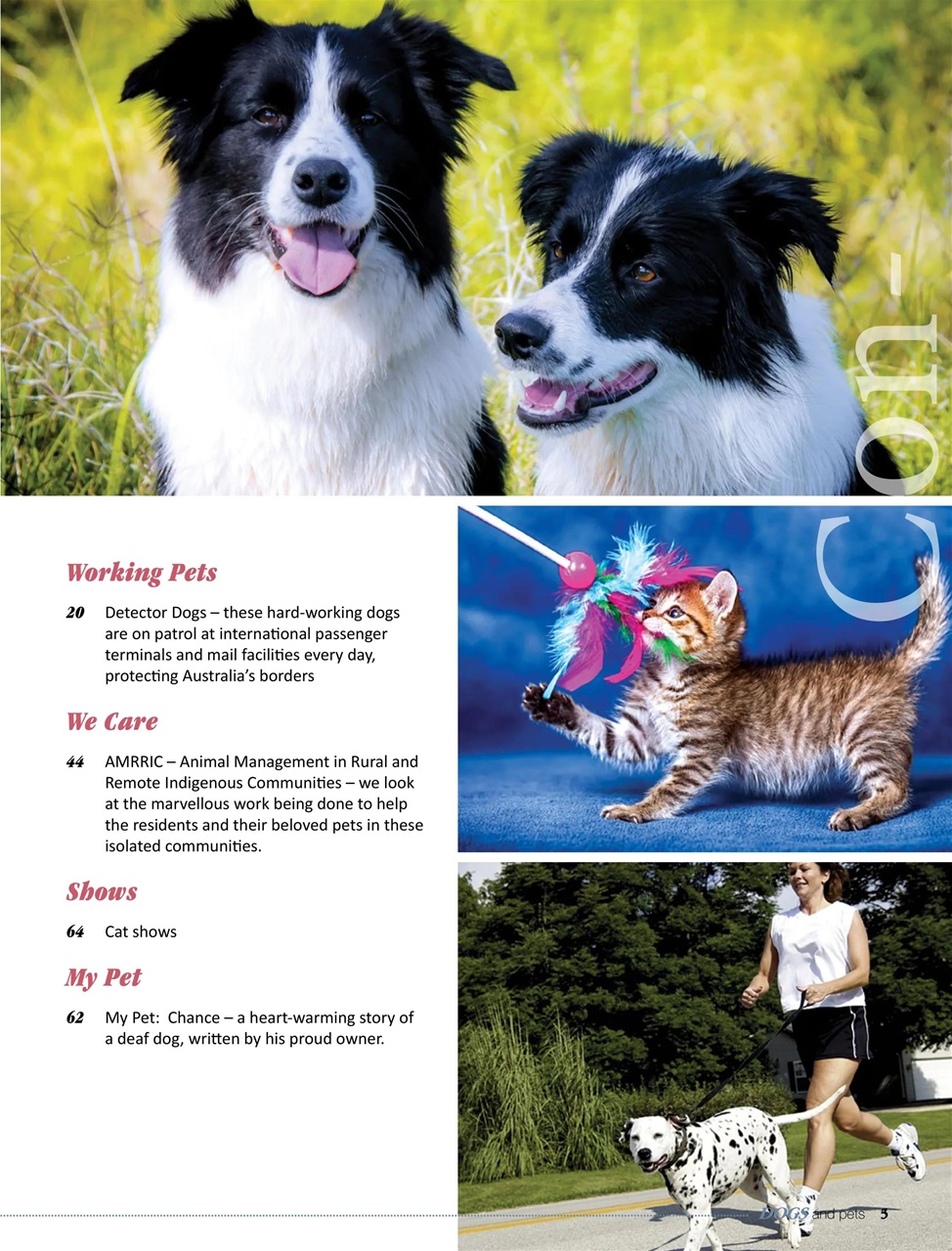 Dogs and Pets Preview Pages