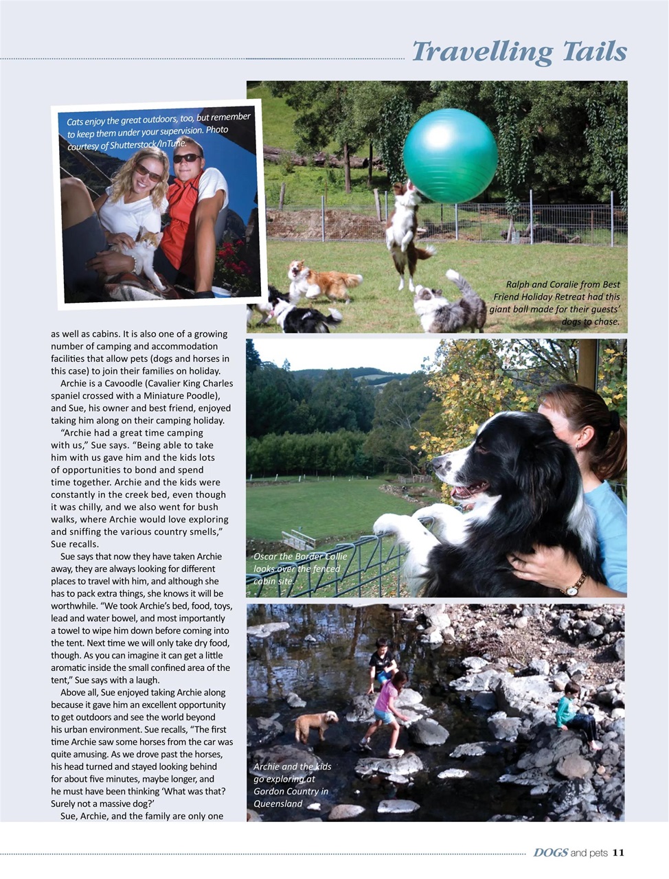 Dogs and Pets Preview Pages