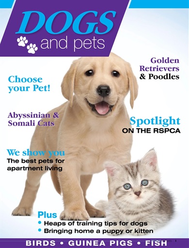 Dogs and Pets issue 