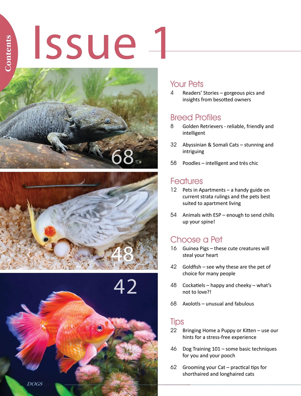 Dogs and Pets Preview Pages