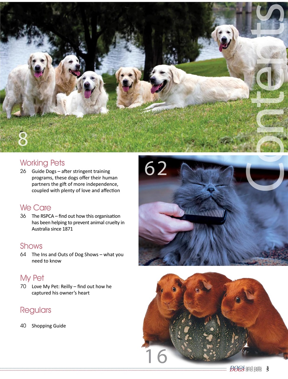 Dogs and Pets Preview Pages