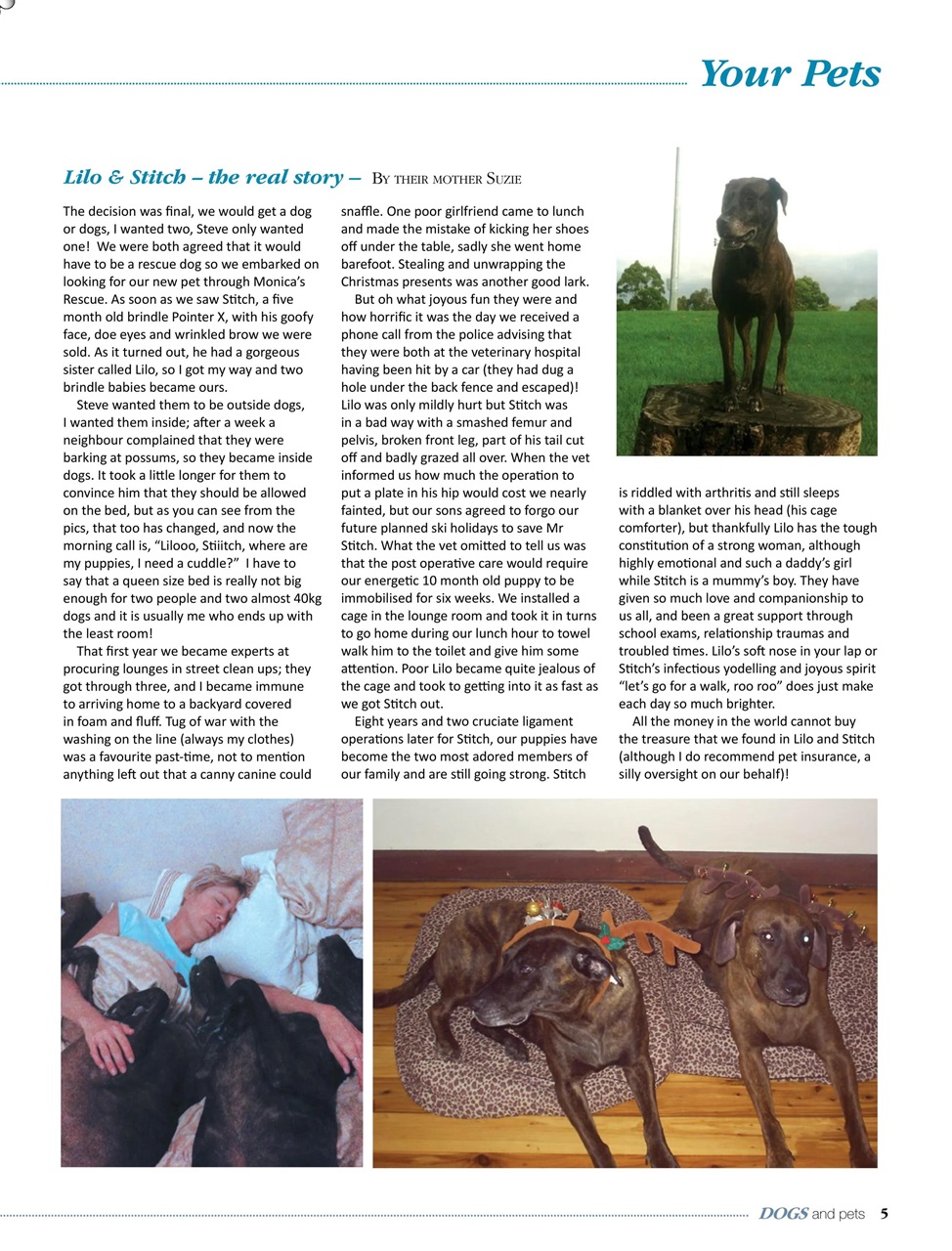 Dogs and Pets Preview Pages