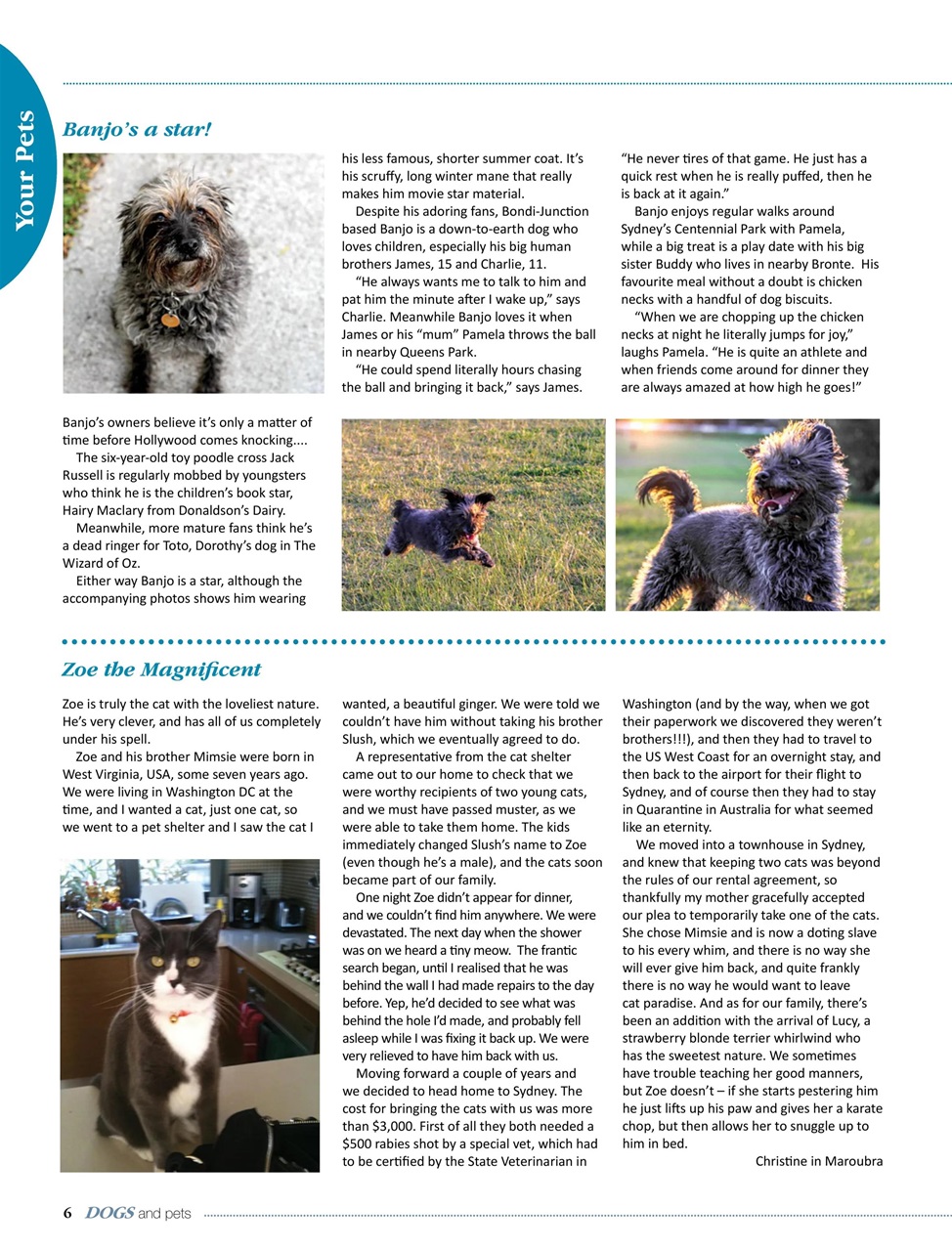 Dogs and Pets Preview Pages