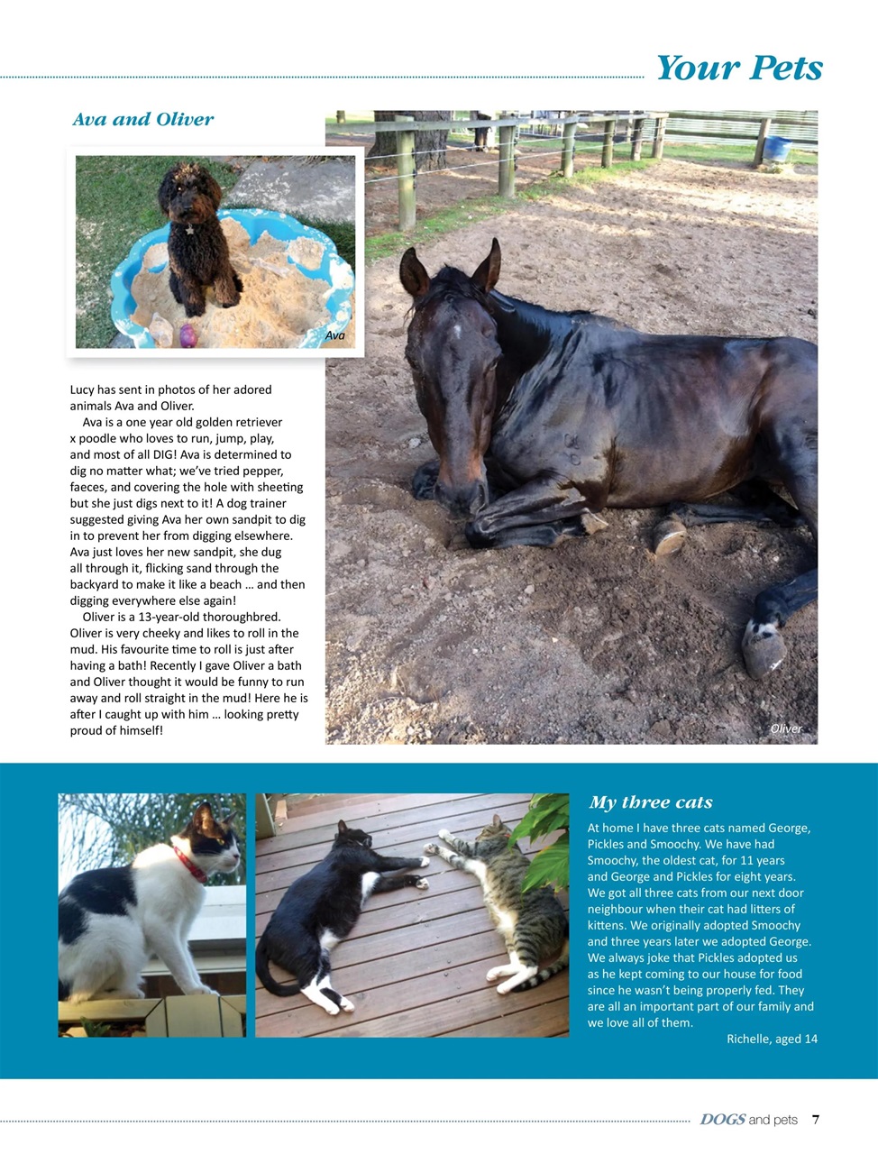 Dogs and Pets Preview Pages