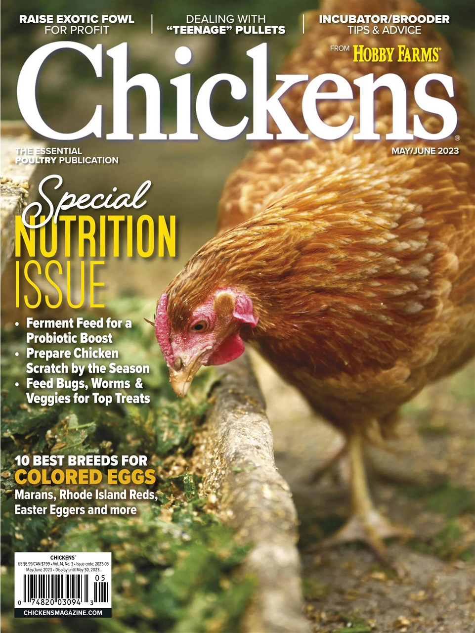 Chickens Magazine Preview Pages