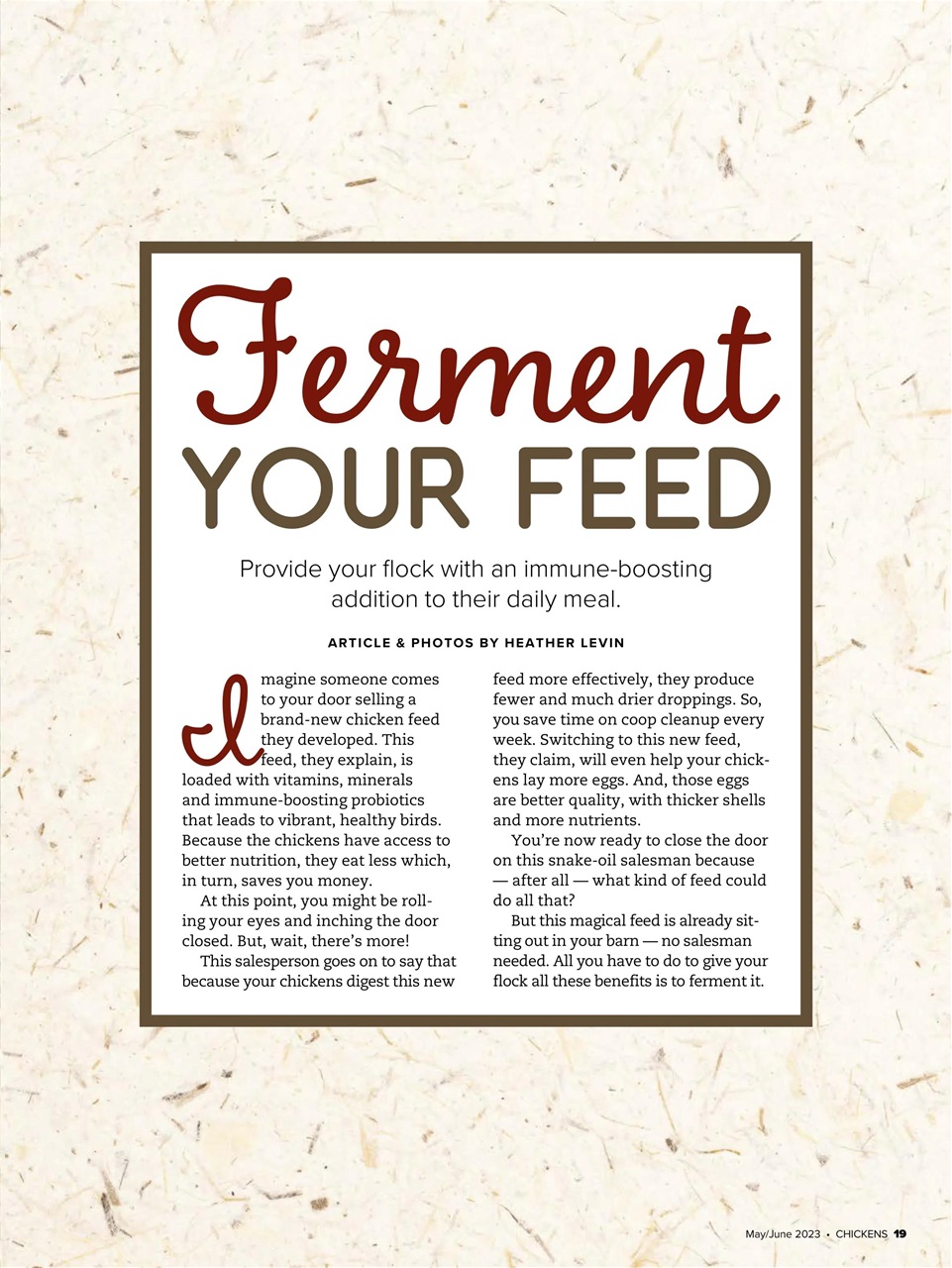 Chickens Magazine Preview Pages