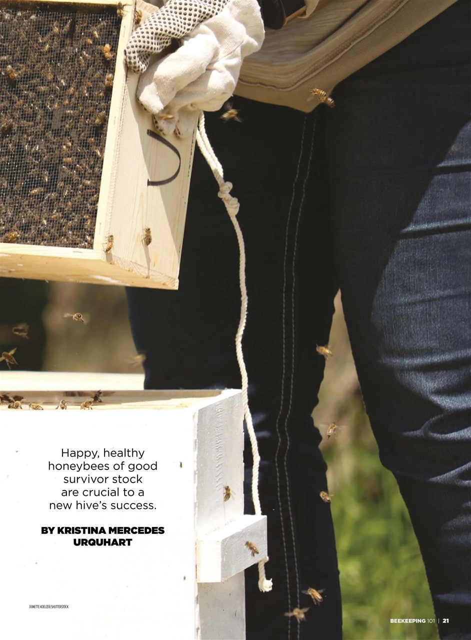 Hobby Farms Magazine Preview Pages