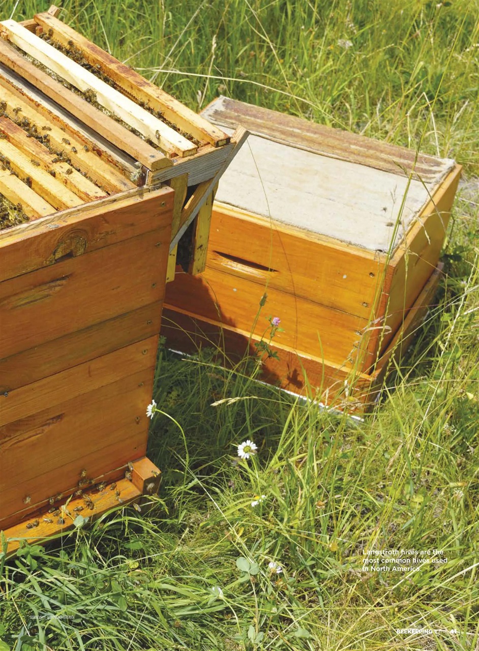 Hobby Farms Magazine Preview Pages