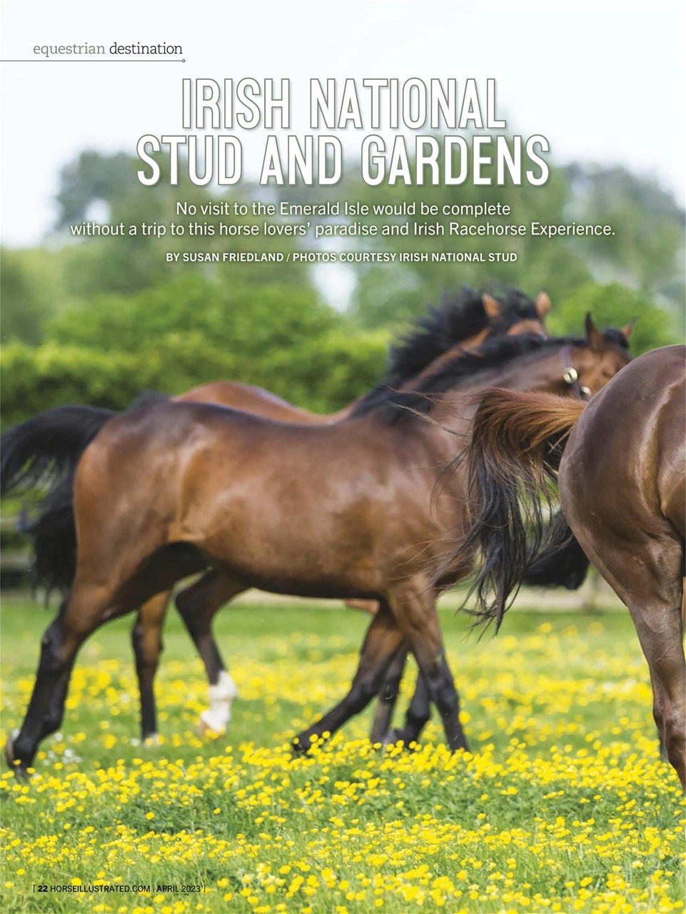 Horse Illustrated Magazine Preview Pages