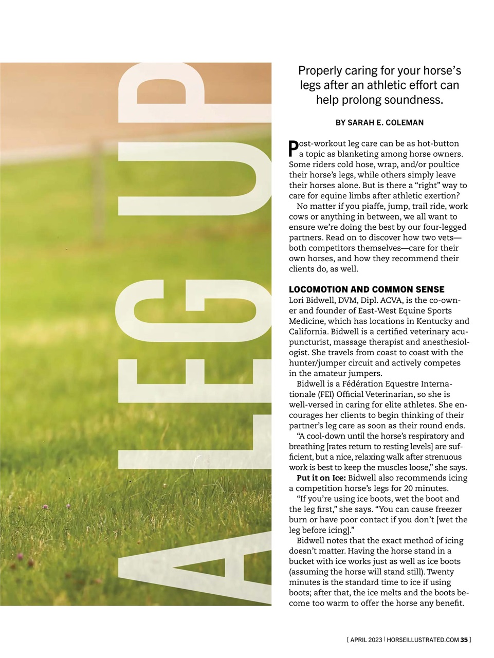 Horse Illustrated Magazine Preview Pages