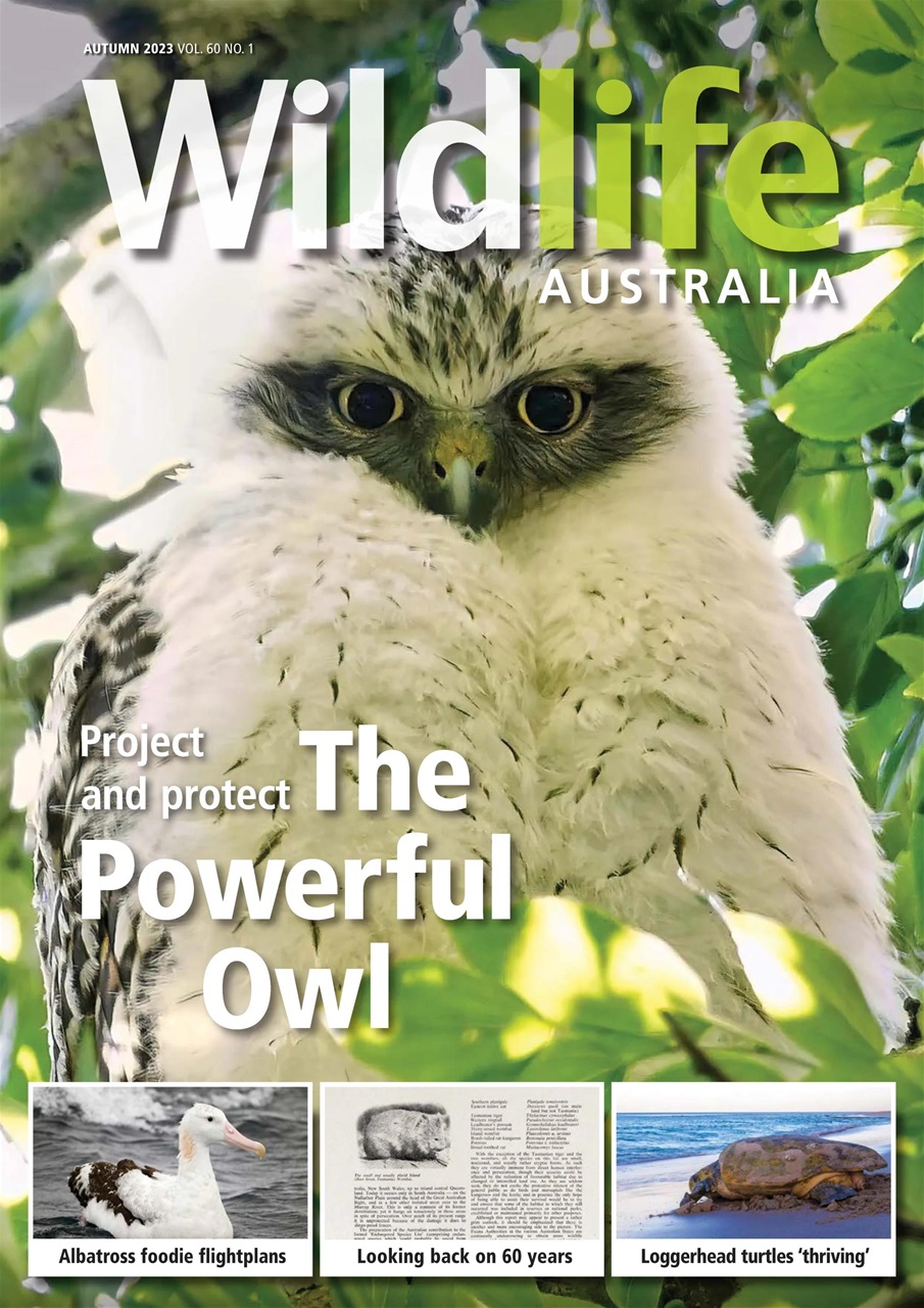 Wildlife Australia Preview Pages