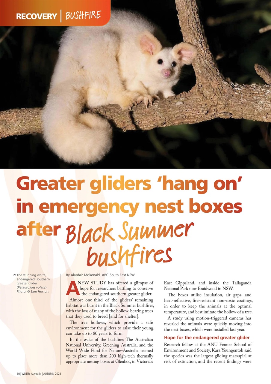 Wildlife Australia Preview Pages