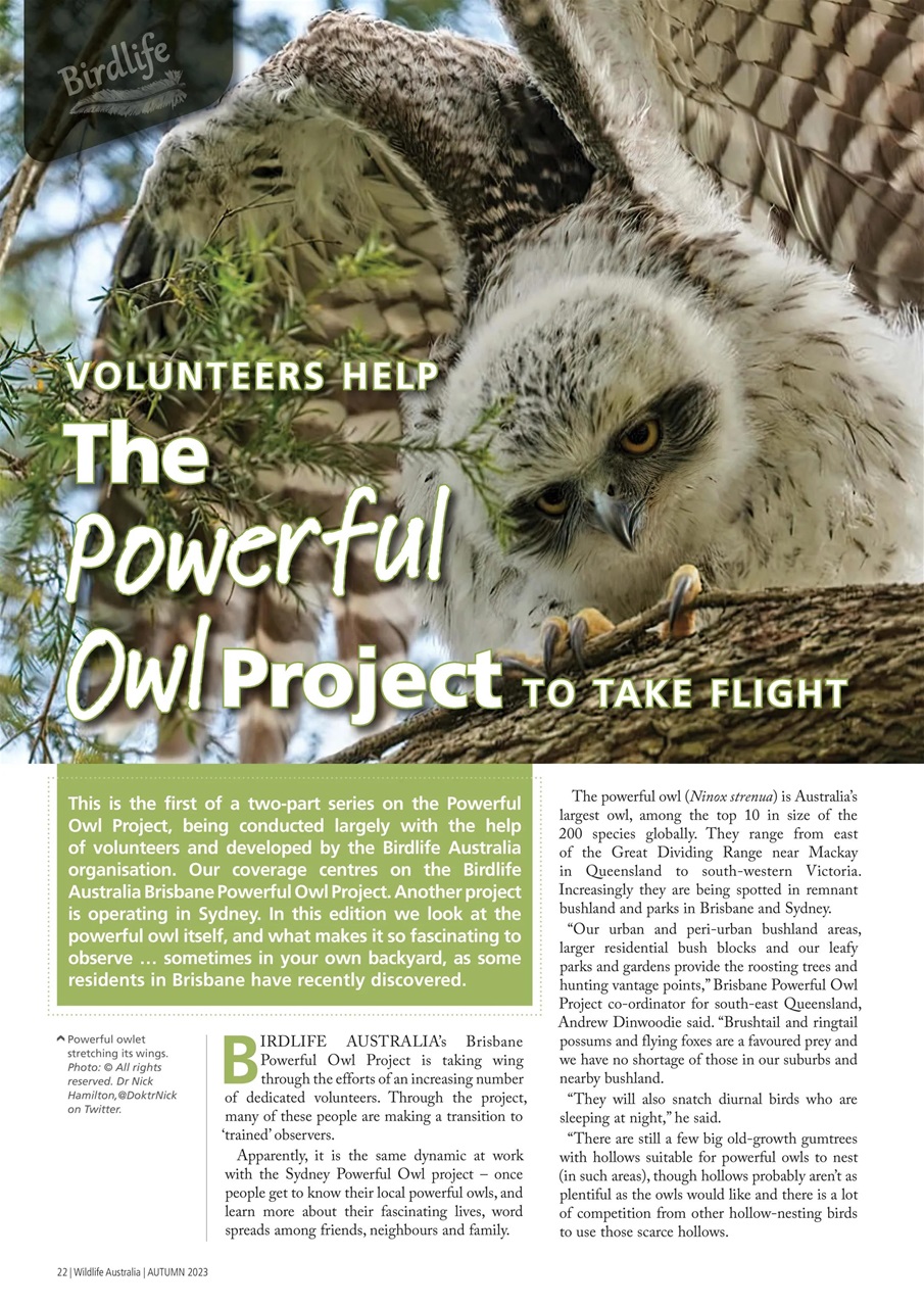 Wildlife Australia Preview Pages