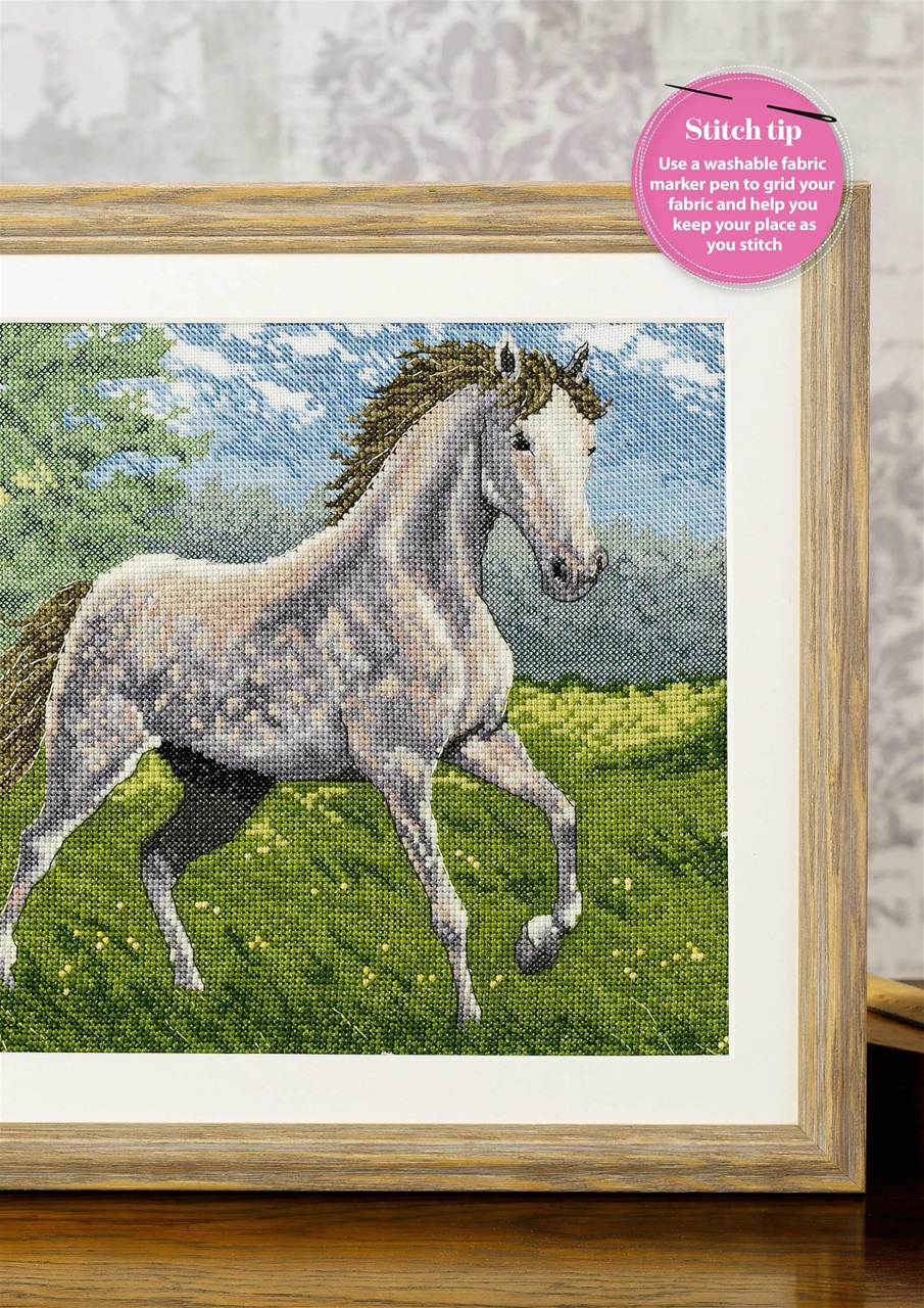 The World of Cross Stitching Preview Pages
