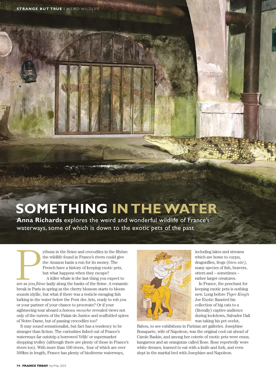 France Today Preview Pages