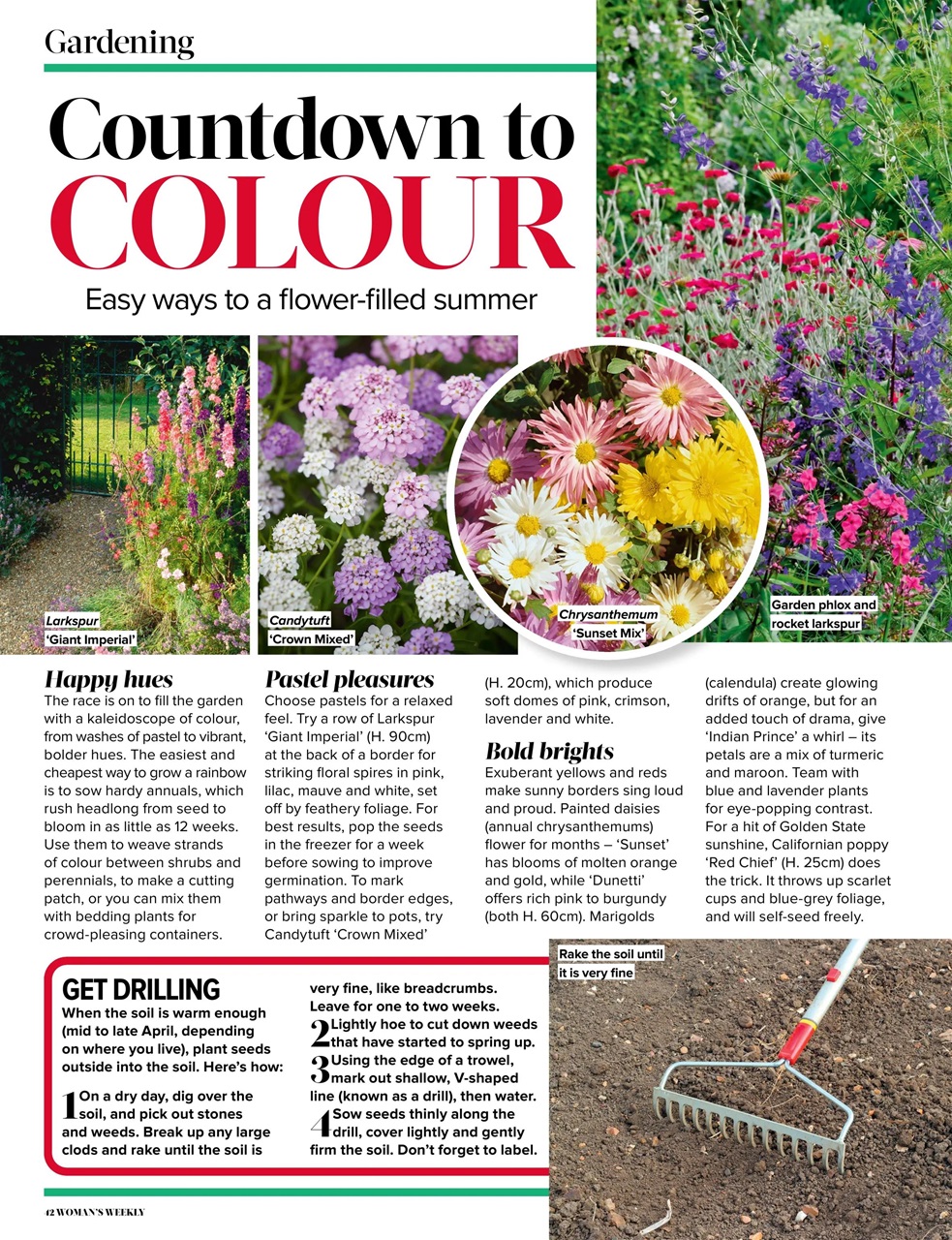 Woman's Weekly Preview Pages