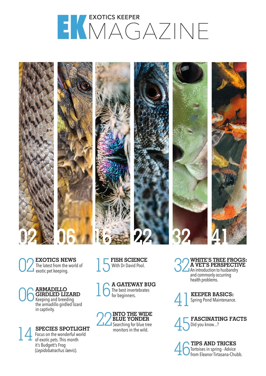 Exotics Keeper Preview Pages