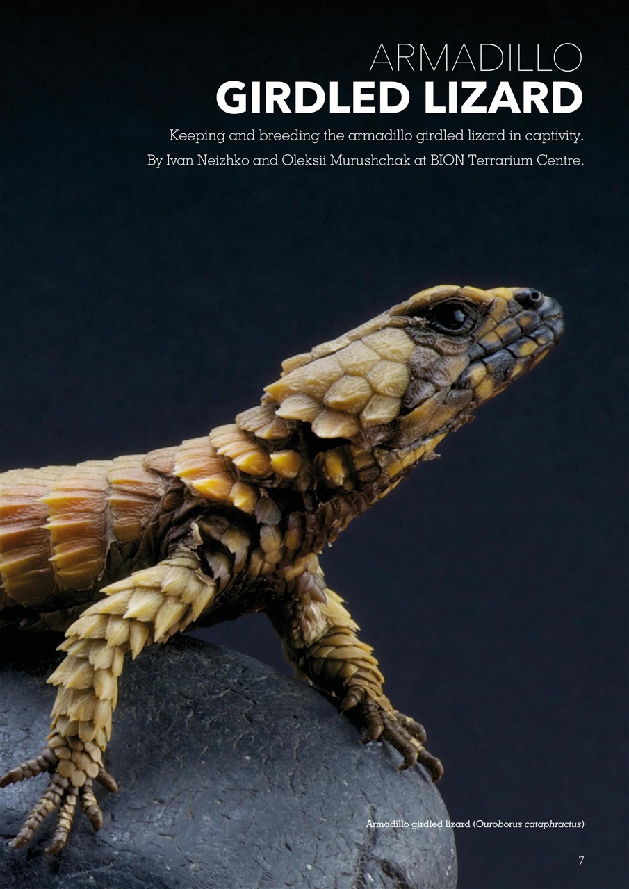 Exotics Keeper Preview Pages