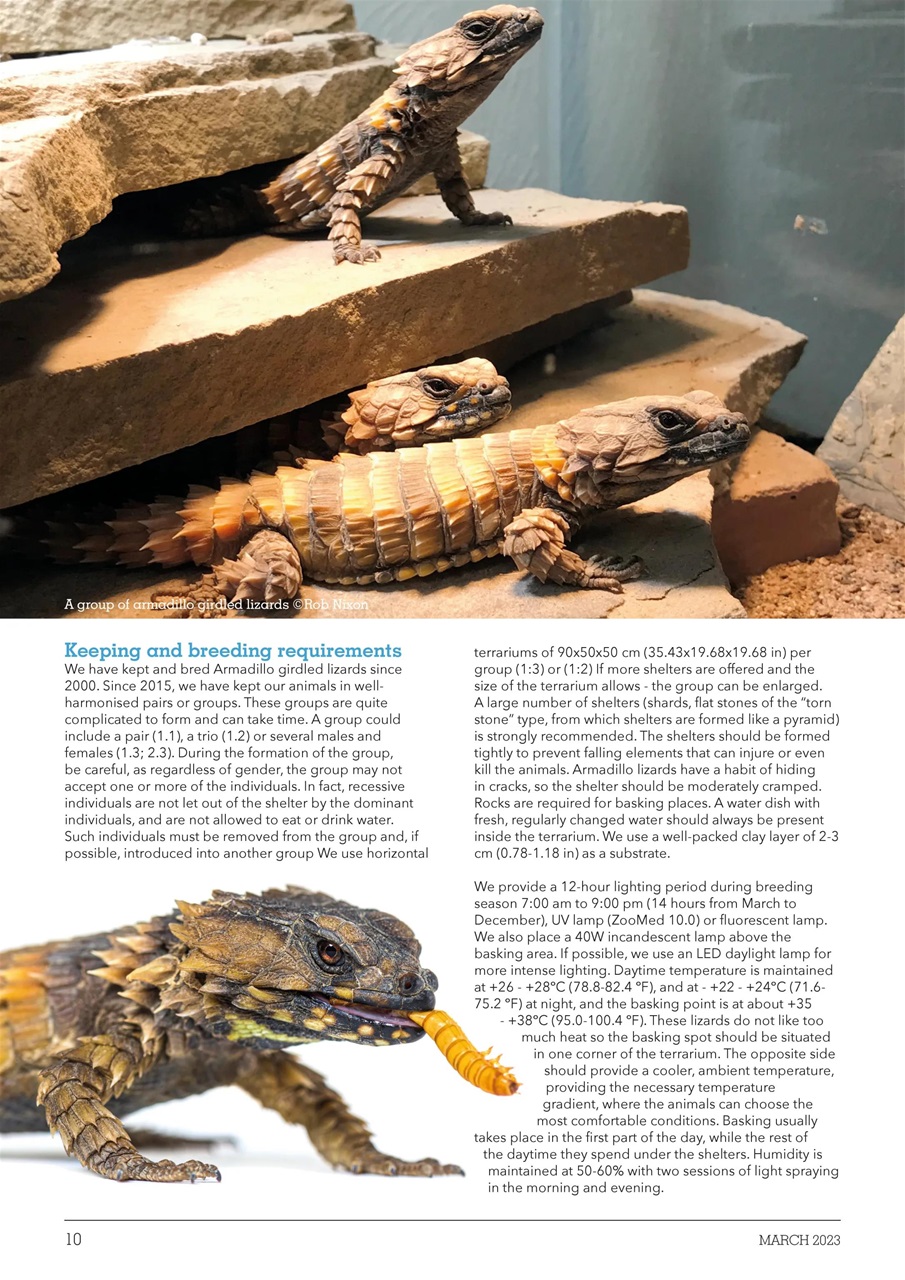 Exotics Keeper Preview Pages