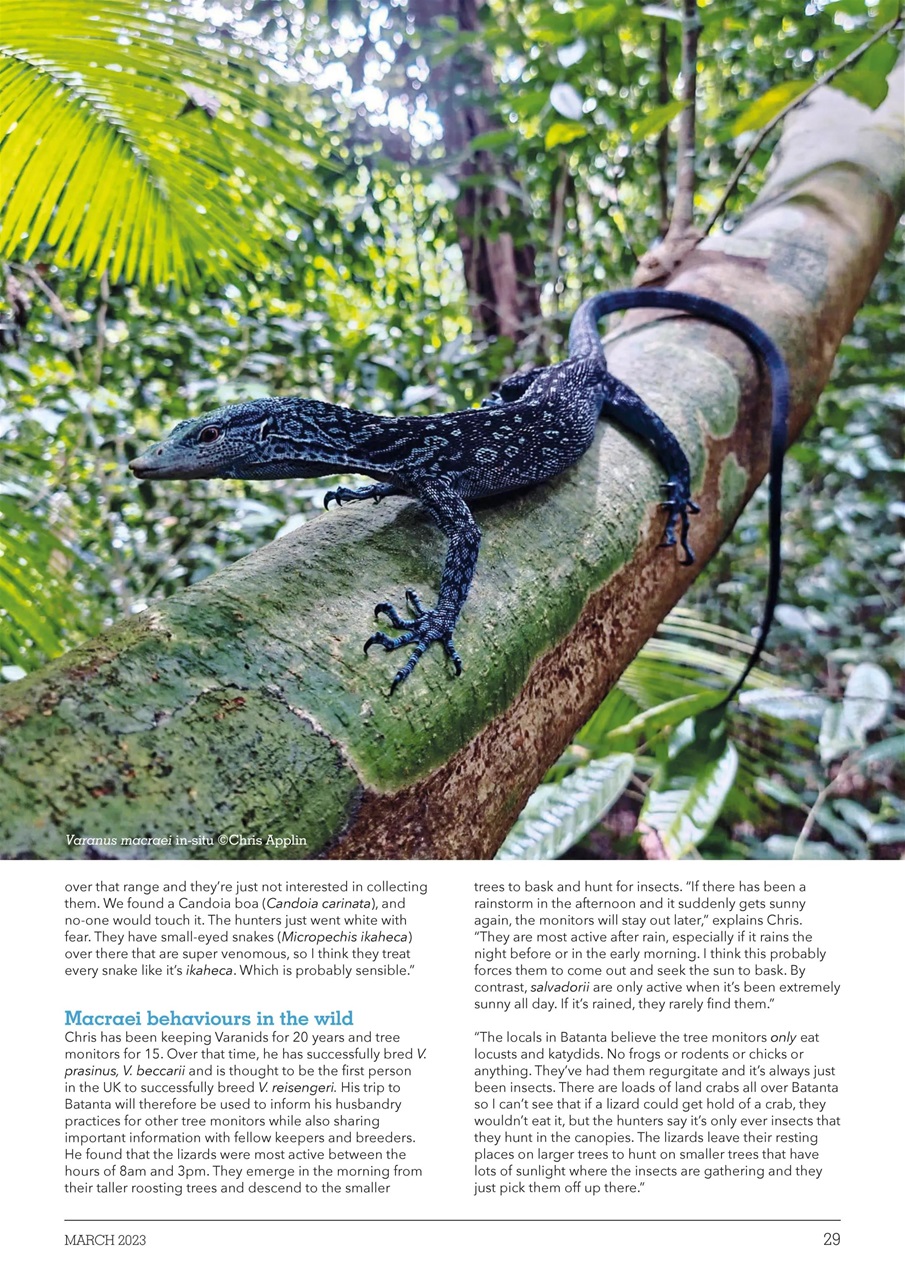 Exotics Keeper Preview Pages