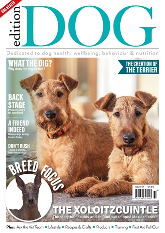 Edition Dog issue Edition Dog Issue 54